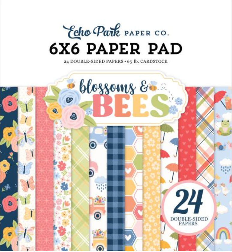 Echo Park 6x6 Blossoms & Bees Paper Pad {B516}