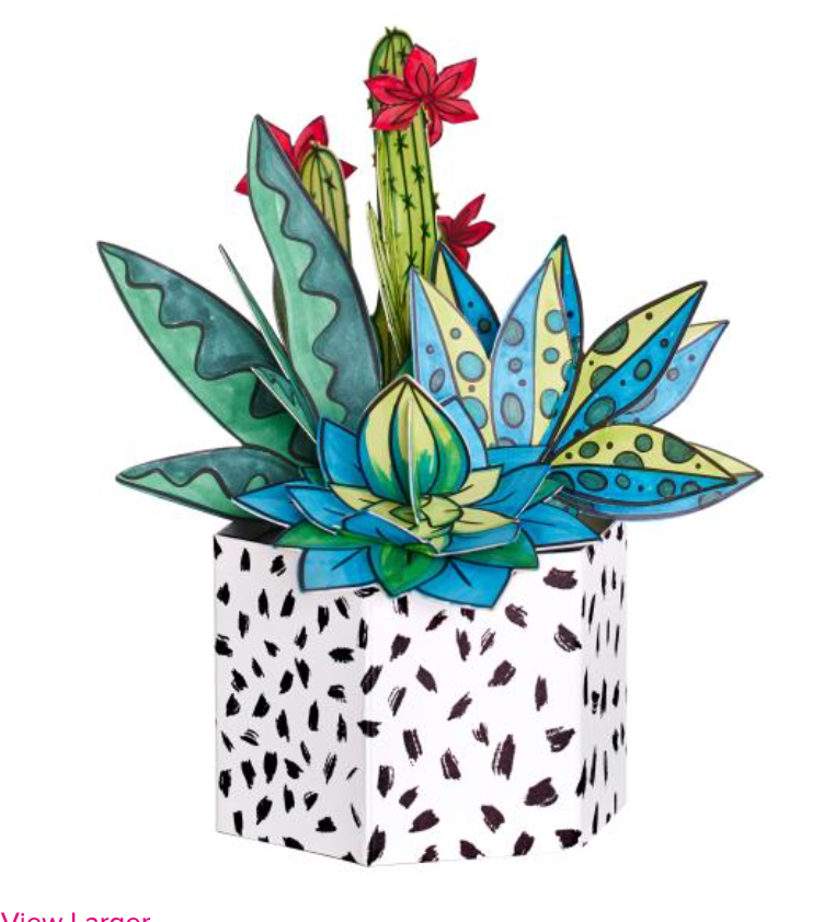 Faber Castell Succulents Pop Up Coloring Bouquet {F318}