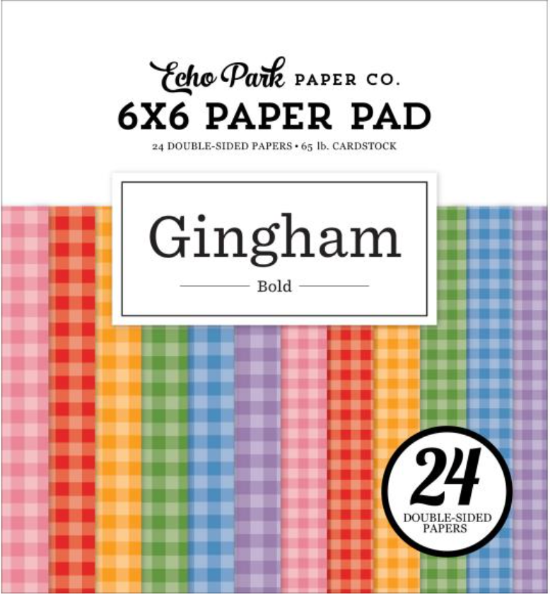 Echo Park 6x6 Bold Gingham Paper Pad {B724}