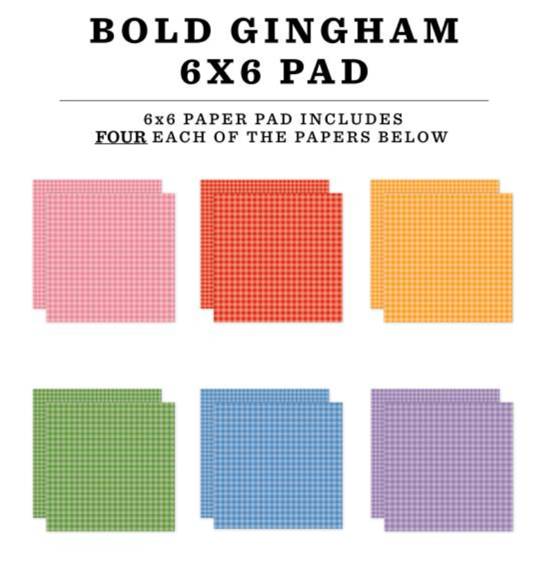 Echo Park 6x6 Bold Gingham Paper Pad {B724}